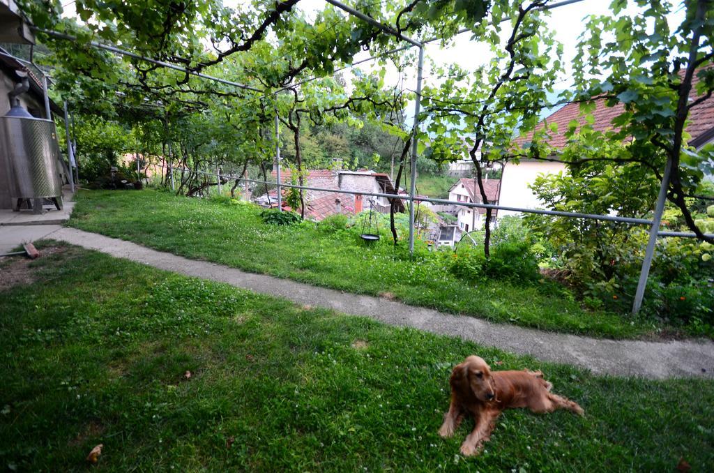 Guest House Konjic Bagian luar foto